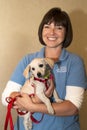 Arizona Humane Society Volunteer and Puppy Royalty Free Stock Photo