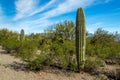 Arizona Landscapes