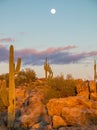 Arizona Moon rise at sunset with cactus and rocks in North Scottsdale Royalty Free Stock Photo