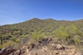 Arizona Mountains Covered In Desert Plants