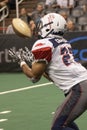 Arizona Rattlers Indoor Arena Football