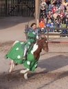 Arizona Renaissance Festival Jousting Royalty Free Stock Photo