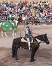 Arizona Renaissance Festival Jousting Royalty Free Stock Photo