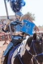 Arizona Renaissance Festival Jousting Royalty Free Stock Photo