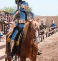 Arizona Renaissance Festival Jousting Royalty Free Stock Photo