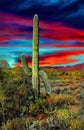 Arizona, Sedona Saquaro cactus desert sunse landscape.. Royalty Free Stock Photo