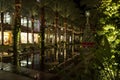 Arizona shopping mall Christmas Tree and lighted palm trees