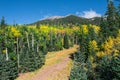 Arizona Snowbowl in summertime in Flagstaff, Royalty Free Stock Photo