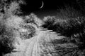 Arizona Sonora Desert road with Moon in infrared monochrome Royalty Free Stock Photo