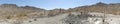 Arizona, South Mountain Park, Saguaro and chollo cactus in the desert on South Mountain