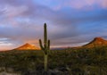 Arizona Sunrise With Cactus & Butte Royalty Free Stock Photo