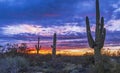 Arizona Sunrise With Cactus & Vibrant Sky Royalty Free Stock Photo