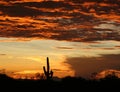 Arizona sunset