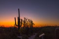 Arizona Saguaro Cactus Sunset Silhouette Landscape Royalty Free Stock Photo