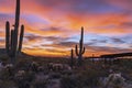Arizona Sunset Sky At Brown Ranch Trail Head In Scottsdale