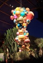 Arizona, Tempe - Phoenix: Botanical Garden - Chihuly Installation: Polyvitro Chandelier - Illuminated