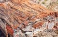 Arizona, USA. logs of petrified wood, Petrified Forest National Park Royalty Free Stock Photo