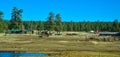 ARIZONA, USA - NOVEMBER 25, 2019: typical country houses or ranches of poor Americans on the edge of a forest in Arizona