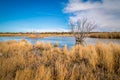 Arizona wetlands and animal riparian preserve.