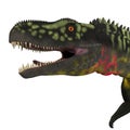 Arizonasaurus Dinosaur Head Royalty Free Stock Photo