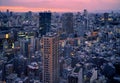 ARK Hills as seen from the Tokyo Tower at evening. Tokyo. Japan