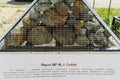 Collection of rocks. Pyrite