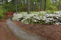 Arkansas Arboretum Curving Pathway Royalty Free Stock Photo