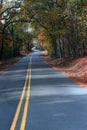 Trees form a tunnel for this curving, narrow backroad in Southern Arkansas. 