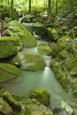Arkansas peaceful mossy green waterfall
