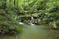 Arkansas peaceful mossy green waterfall