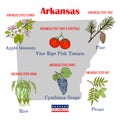 Arkansas. Set of USA official state symbols