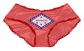 Arkansas State Flag Icons Panties