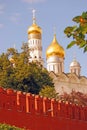 Arkhangel's church and Ivan the Great Bell-tower.