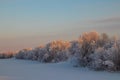 Arkhangelsk region. Winter in the vicinity of the village Levkovka Royalty Free Stock Photo