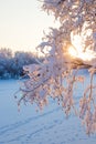 Arkhangelsk region. Winter in the vicinity of the village Levkovka Royalty Free Stock Photo