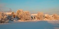 Arkhangelsk region. Winter in the vicinity of the village Levkovka Royalty Free Stock Photo