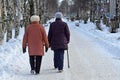 Arkhangelsk, Russia, February, 20, 2018. Two elderly women walking in the Park on the street of Loginov in Arkhangelsk in winter.
