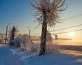 Arkhangelsk. Sunny winter day. January. Railway bridge