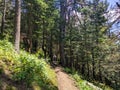 Arkhyz, Karachay-Cherkessia, Russia - August 21, 2022: Tourist with a backpack walks along the path of romantics along a