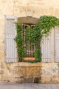 Ivy growing over a barred window with wooden shutters Royalty Free Stock Photo