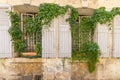 Ivy growing over a barred window with wooden shutters Royalty Free Stock Photo