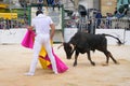 Bull fight at Capea du Forum in Arles