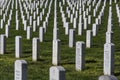 Arlington Cemet Royalty Free Stock Photo