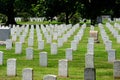 Arlington Cemetery