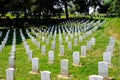 Arlington Cemetery