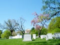 Arlington Cemetery springtime 2010 Royalty Free Stock Photo