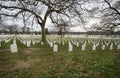 Military Arlington National Cemetery Royalty Free Stock Photo