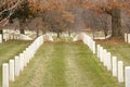 Arlington National Cemetery Royalty Free Stock Photo
