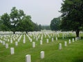 Arlington National Cemetery Royalty Free Stock Photo
