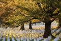 Arlington National Cemetery Washington DC